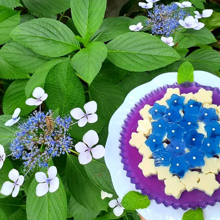 Snapdishの料理写真:紫陽花ゼリー💜|ゆっこさん