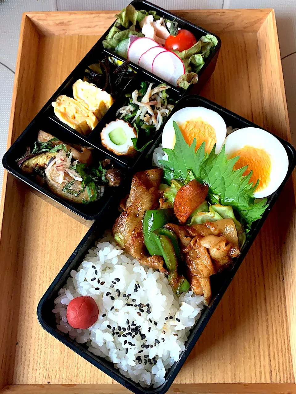 Snapdishの料理写真:6月17日弁当|ぽぽんさん