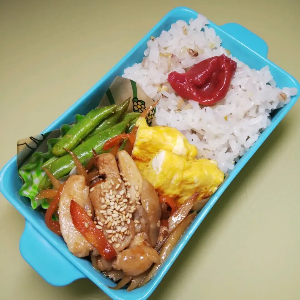 6/17 JKおたま弁当|けろよんさん