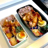 Snapdishの料理写真:6.17 お弁当|みずきさん