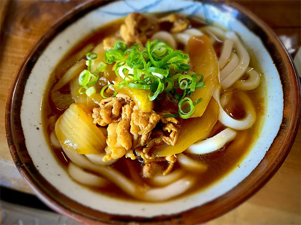 和風カレーうどん|名状しがたいゴミムシのようなものさん