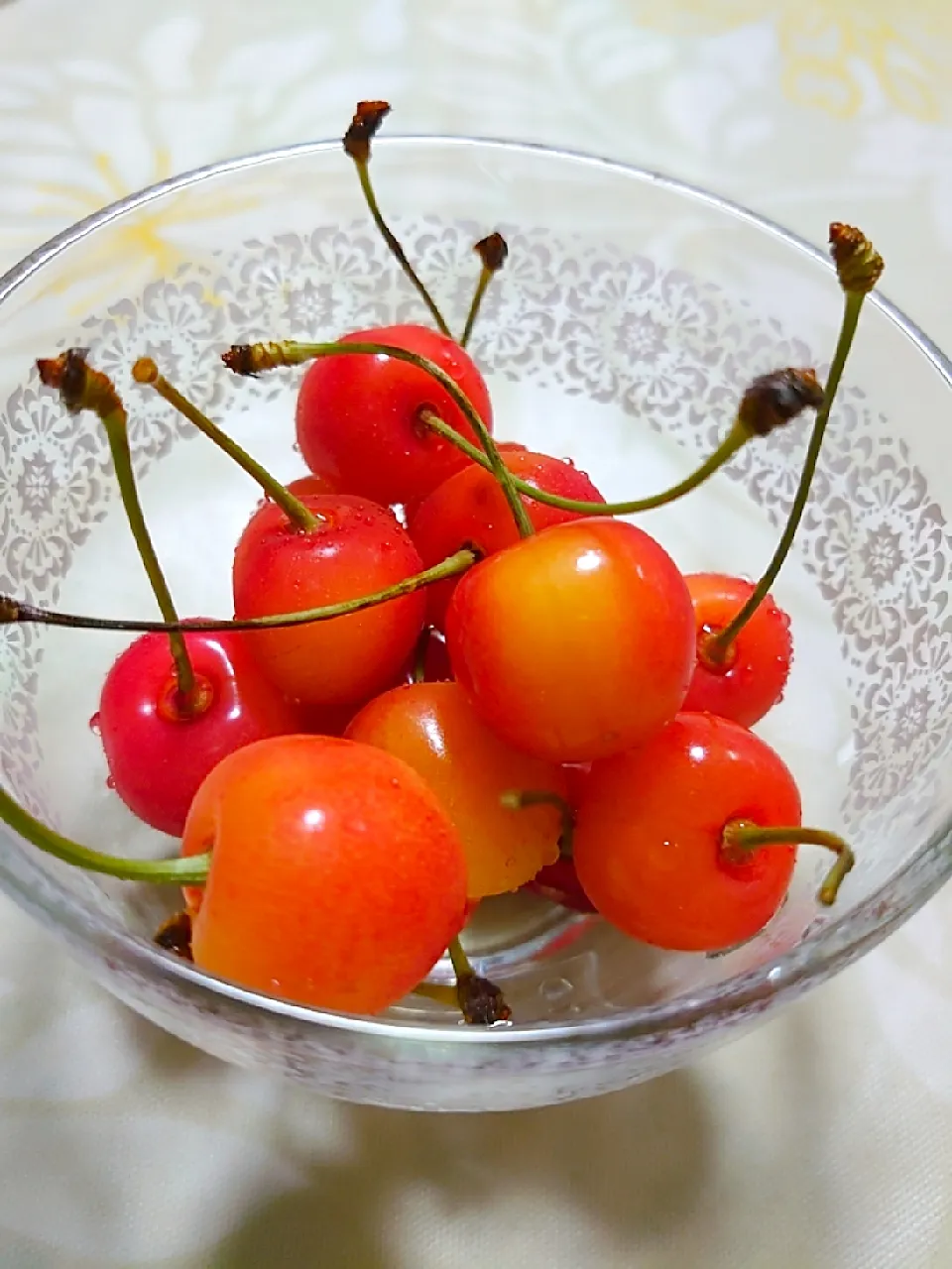 赤い宝石🍒|🍒ふみりん🍒さん