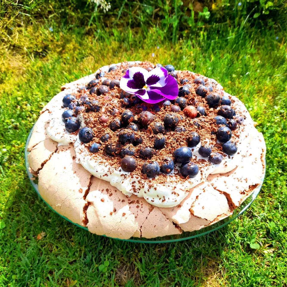 Chocolate Pavlova with blueberrys|Cocobakesさん