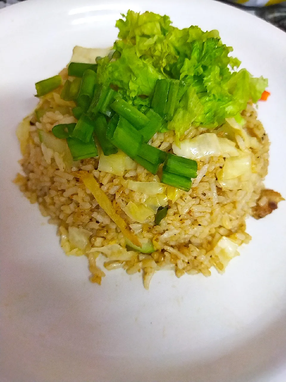 Nasi goreng kerabu|lailatul73さん