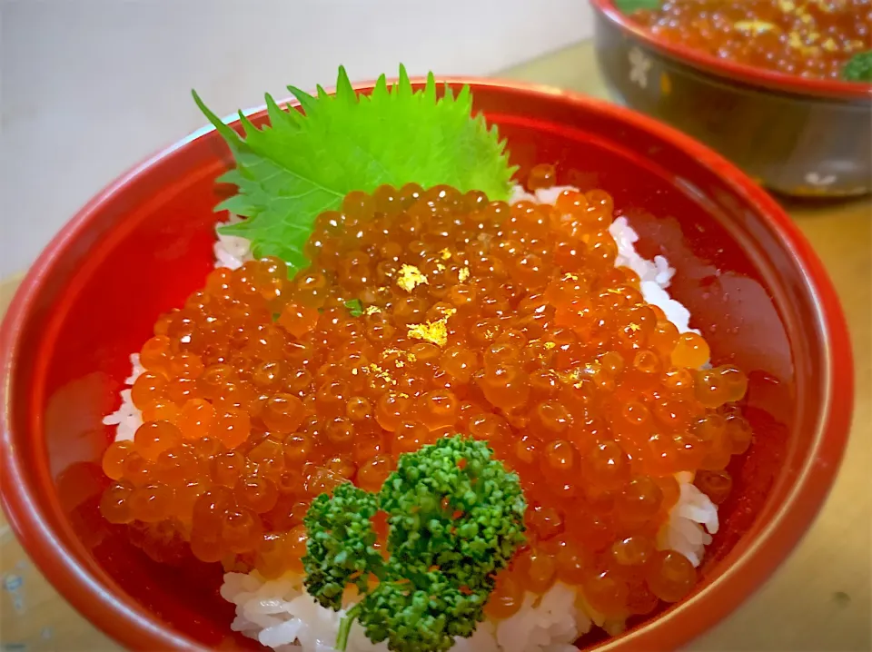 いくら丼(友達から友達の友人へのお祝いでお刺身盛り合わせとセットで)|やまひろさん