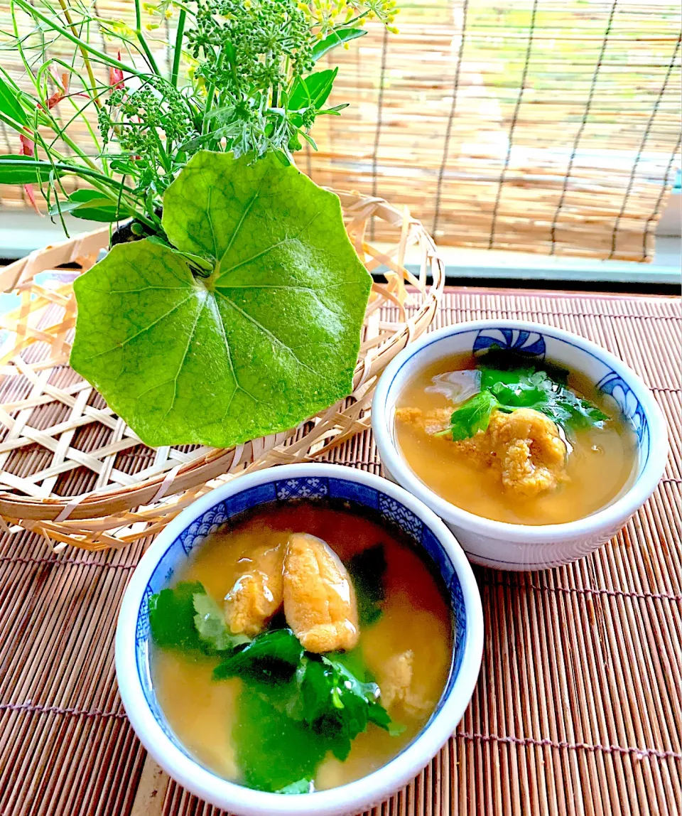 あんかけ雲丹豆腐|シュトママさん