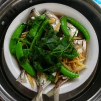 Steam fish for lunch❤simple & healthy dish.|Etsue_Tammaraさん