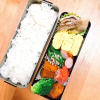 Snapdishの料理写真:お弁当🍱|jasmineさん