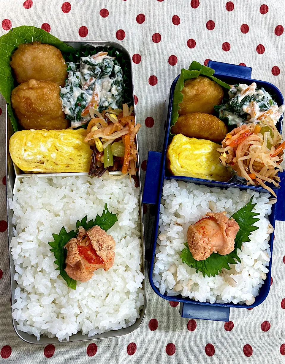 Snapdishの料理写真:6月21日 夏至弁当🍱|sakuramochiさん