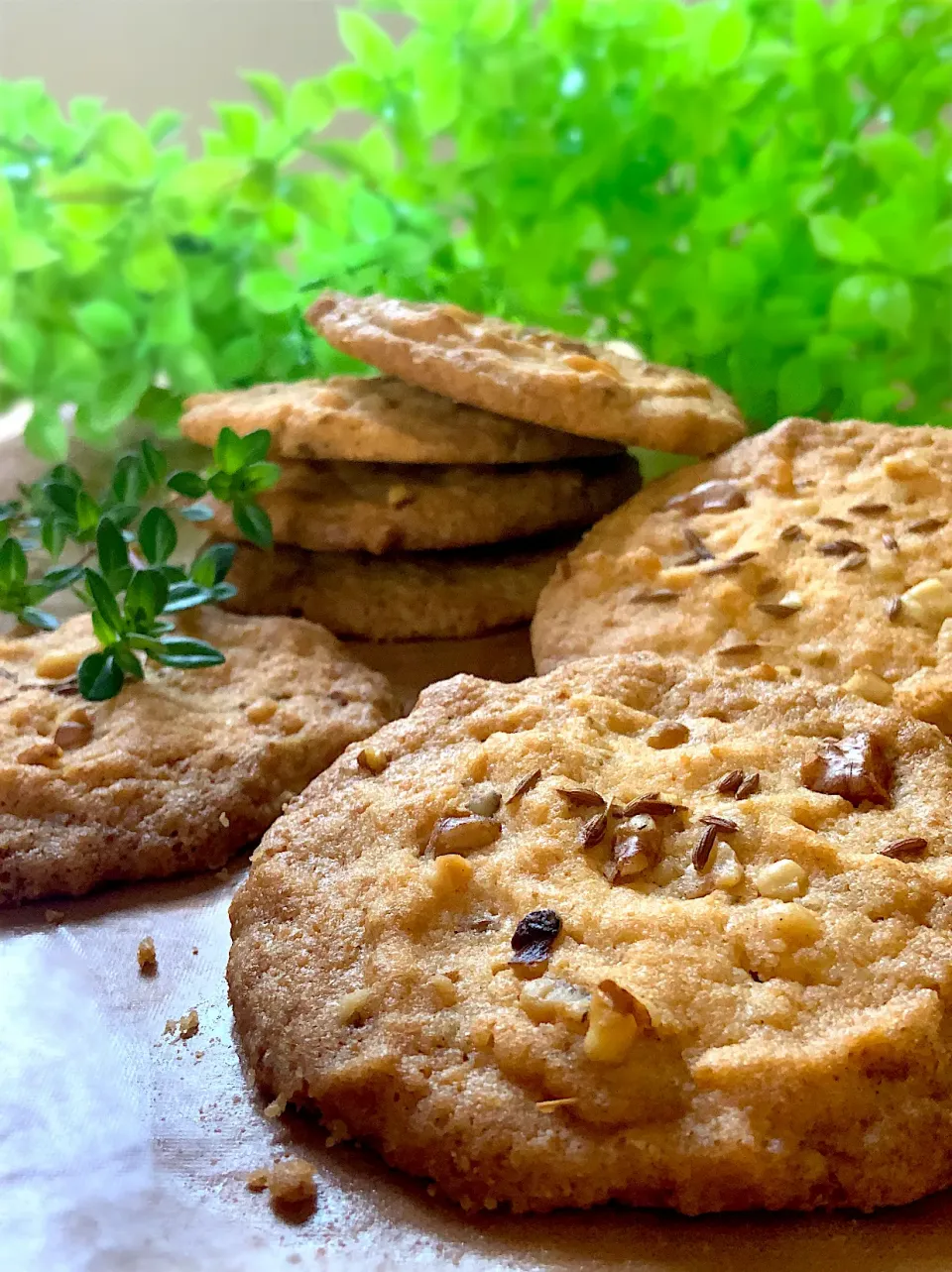 Snapdishの料理写真:クミンクッキー🍪スパイスクッキー|9421beruさん