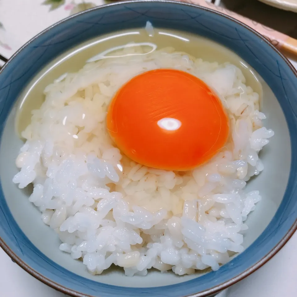 卵かけご飯|まめさん