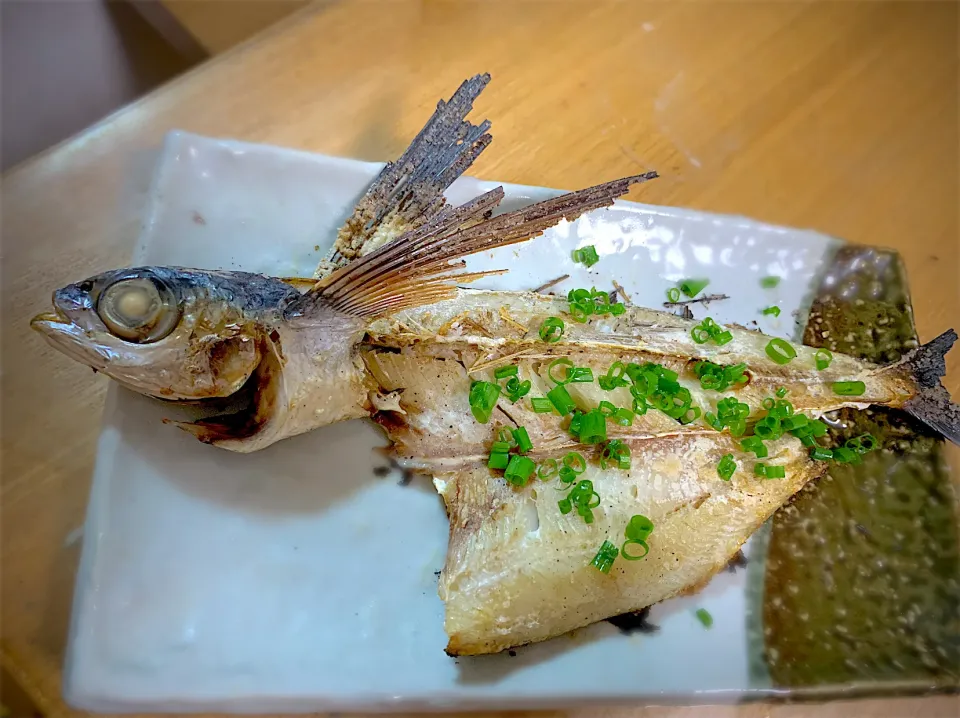 今が旬の飛び魚塩焼き|やまひろさん