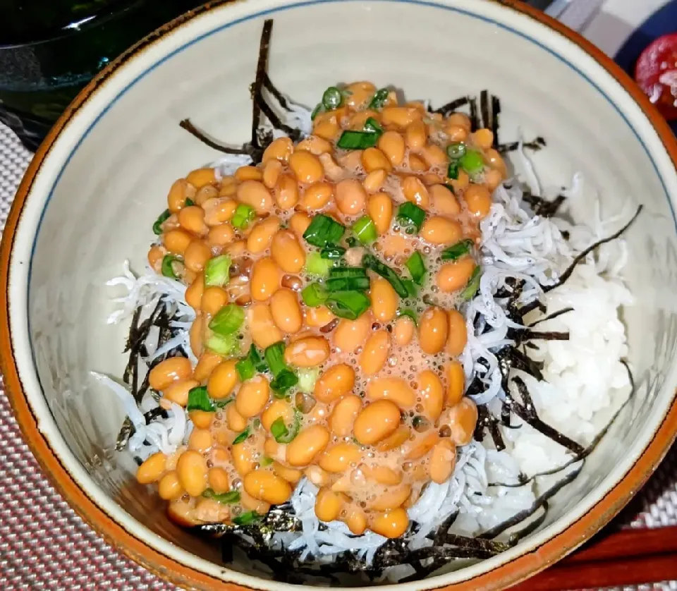 刻み海苔と納豆ちりめん丼🌼

私の大好きなメニュー🤣🤣🎶
食欲なくてもこれならいける👍👍👍
あ、納豆はたまご醤油納豆です🤭💕|オレンジチョコさん