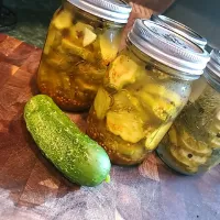 Bread & Butter, Dill Pickles|Malik715さん