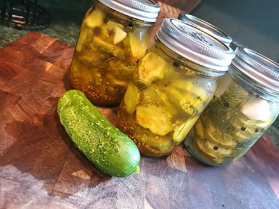 Bread & Butter, Dill Pickles|Malik715さん