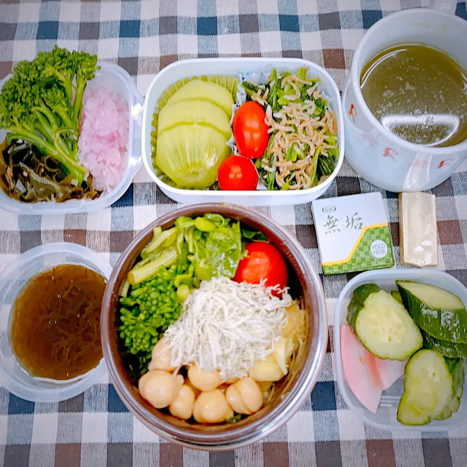 Snapdishの料理写真:今日のお弁当★野菜たっぷり！サラダチキンともち麦の白菜スープジャー弁当|riko30294さん