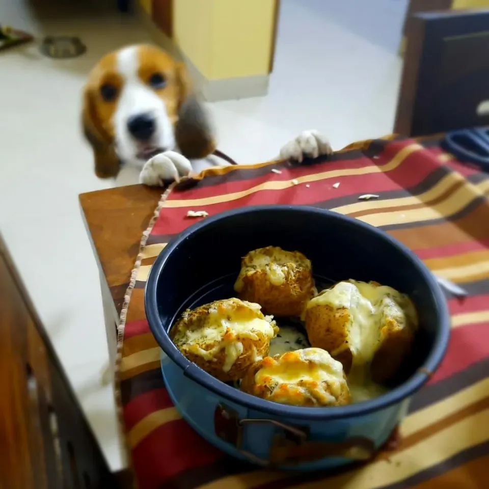 cheesy jacket potatoes🥔🧀|Awesome A'sさん