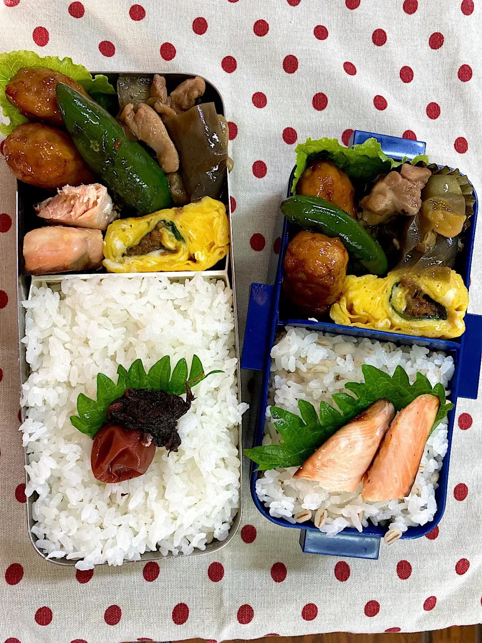 Snapdishの料理写真:6月23日　週の中日弁当🍱|sakuramochiさん