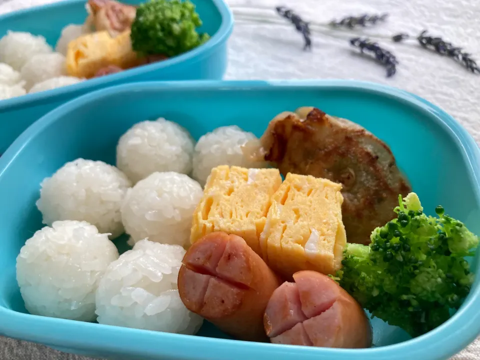 ＊ちびたん＊年中さんお弁当＊|＊抹茶＊さん