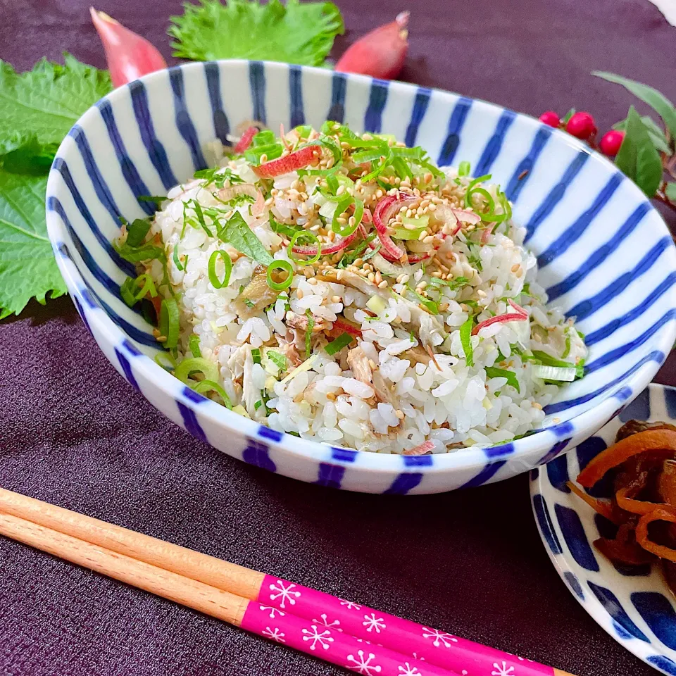 まめころさんの料理 焼きサバと香味野菜のサラダ風ごはん|オーロラさん