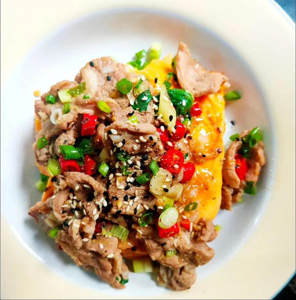 Korean Marinated Pork on Rice.|katang23さん