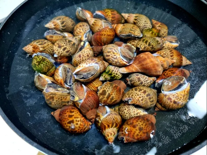 boiled sea snails|steven z.y.さん