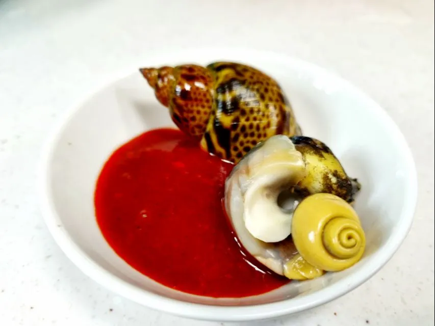 boiled sea snails|steven z.y.さん