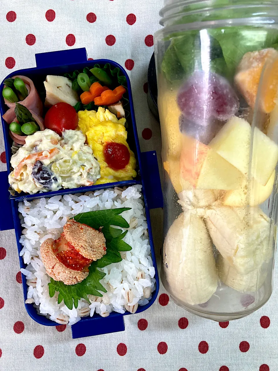 6月25日　週末弁当🍱|sakuramochiさん