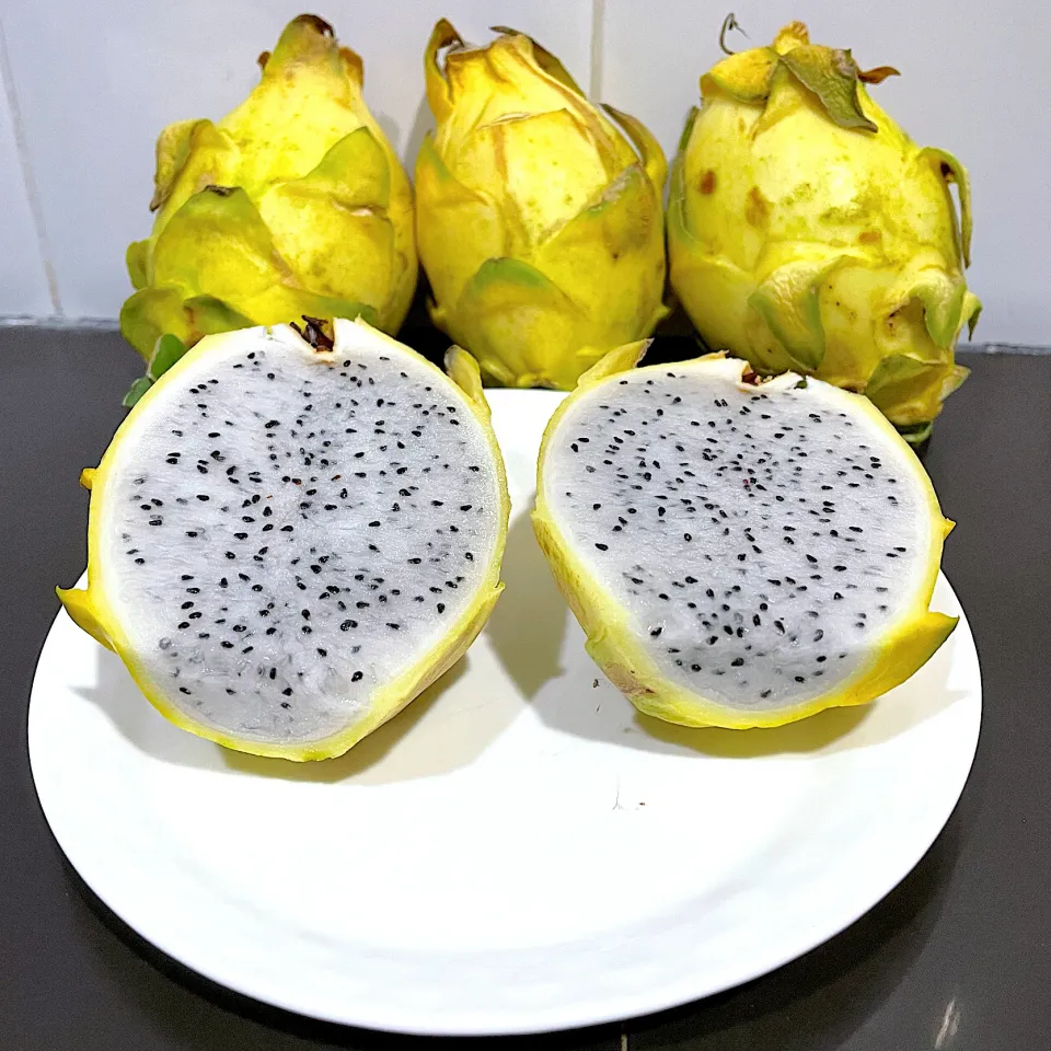 Sunrise Yellow Dragon Fruit|noknoomさん