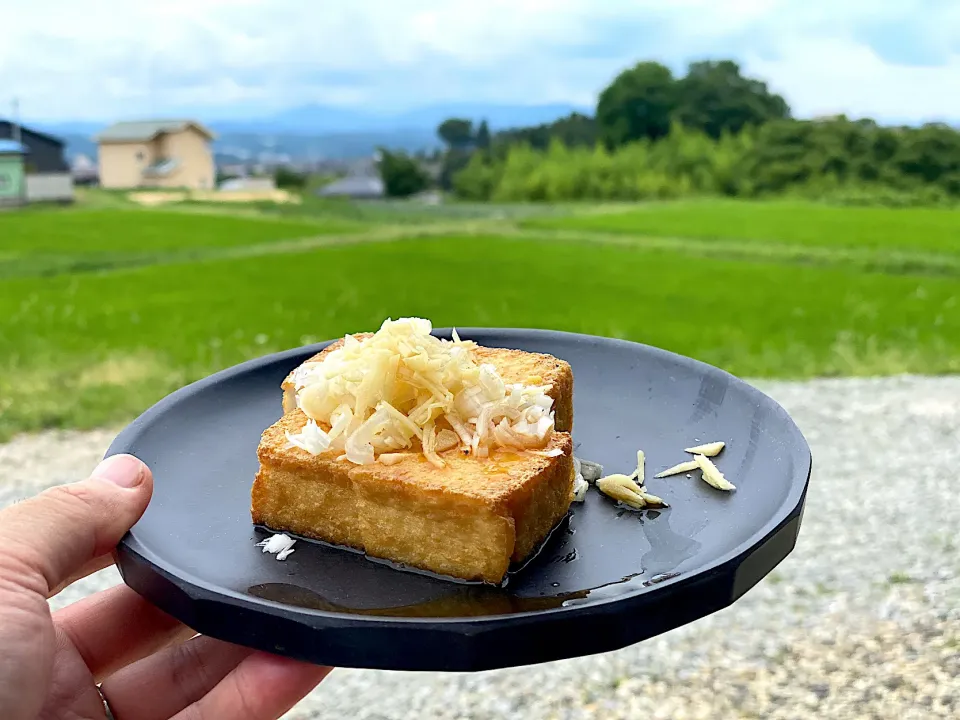 厚揚げ豆腐。|たつやん。さん