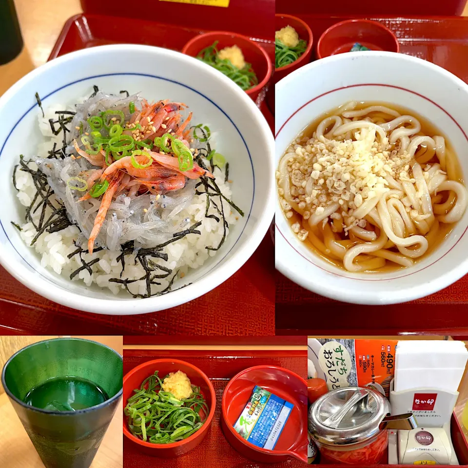 刺身しらすと桜海老丼🦐　　はいからうどん|るみおんさん