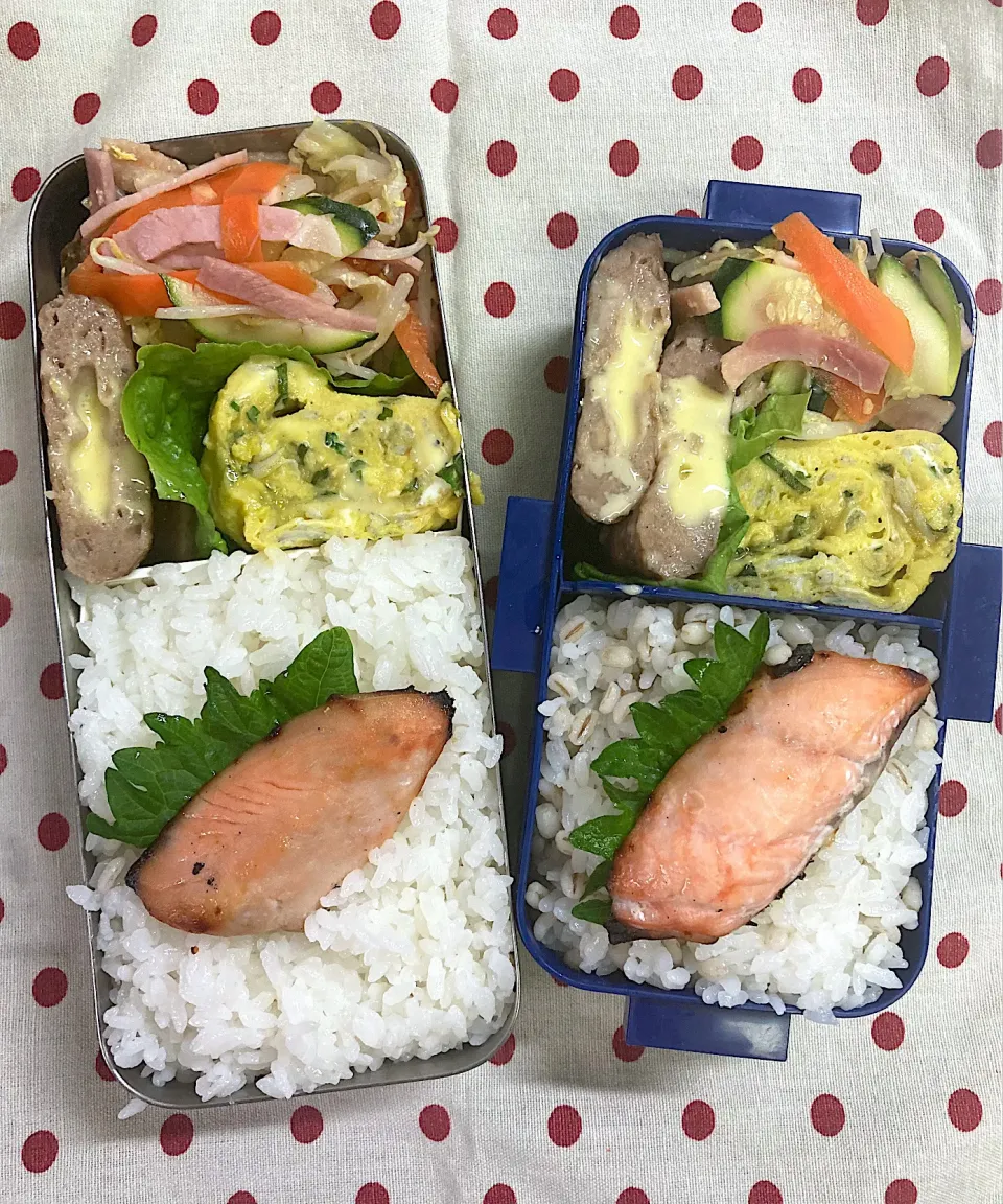 Snapdishの料理写真:6月28日　野菜炒め弁当🍱|sakuramochiさん