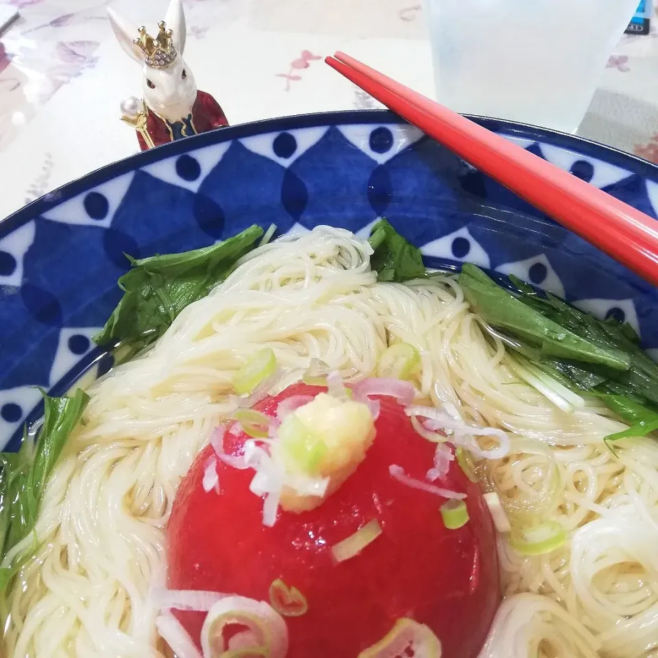 '21,6/28
トマトのだしびたしそうめん😋|たえさん