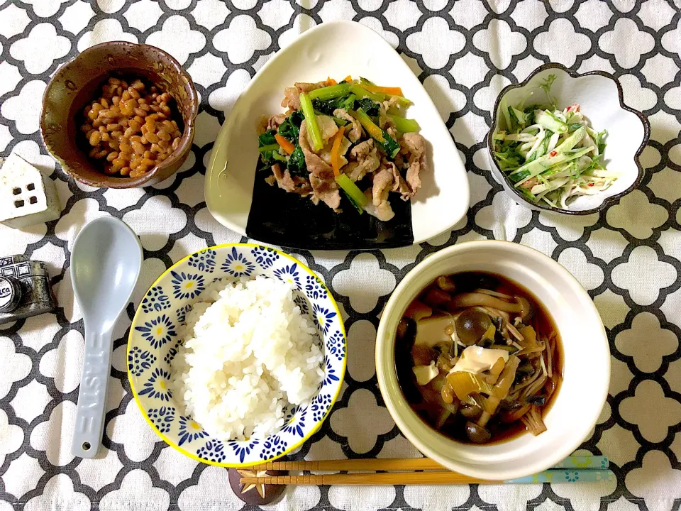 Snapdishの料理写真:✳︎豆腐のきのこのあんかけ✳︎豚肉と小松菜のにんにく醤油炒め✳︎水菜とかにかまの胡麻マヨサラダ✳︎納豆|syamさん