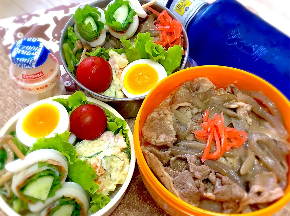 今日の夫婦弁⁽⁽ ◟(灬 ˊωˋ 灬)◞ ⁾⁾💕|桃実さん