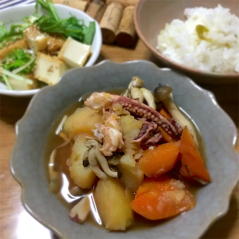 2021/06/29 圧力鍋でイカじゃが煮、厚揚げと水菜サラダ|kykyさん