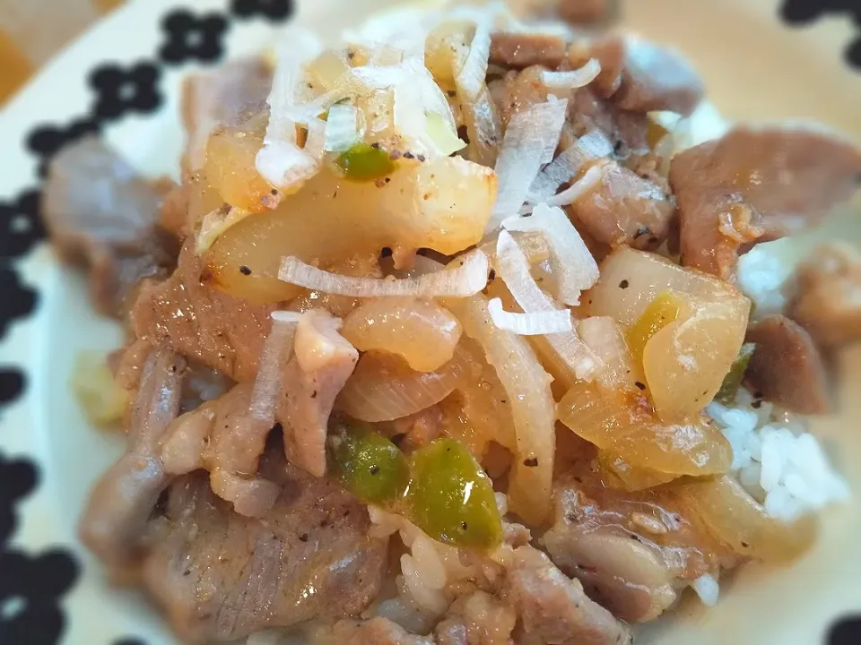 BBQ残りもので＊スパイシー焼き肉丼|めめさん