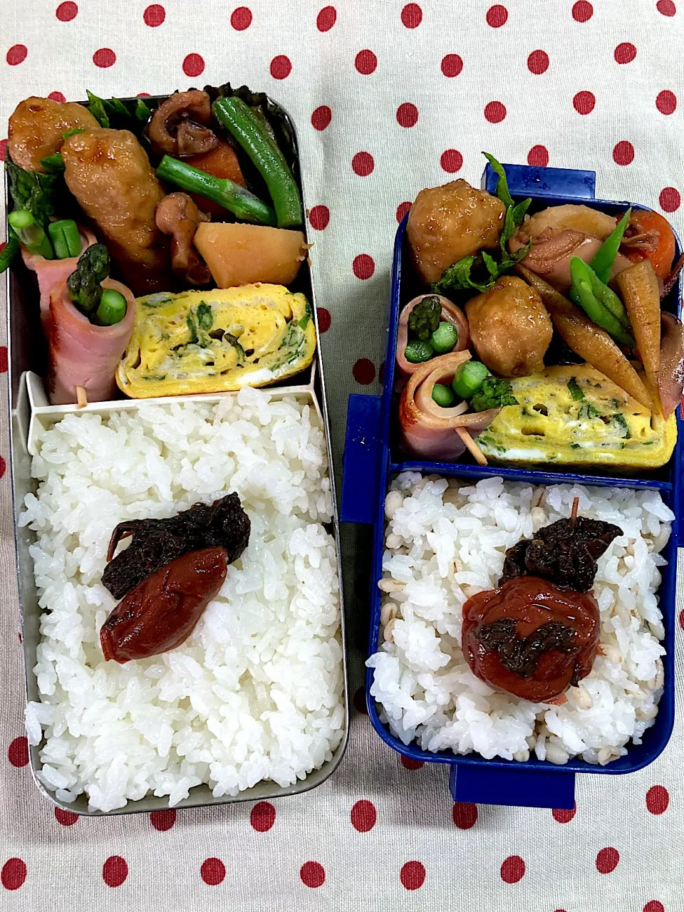 6月30日　月末弁当🍱|sakuramochiさん