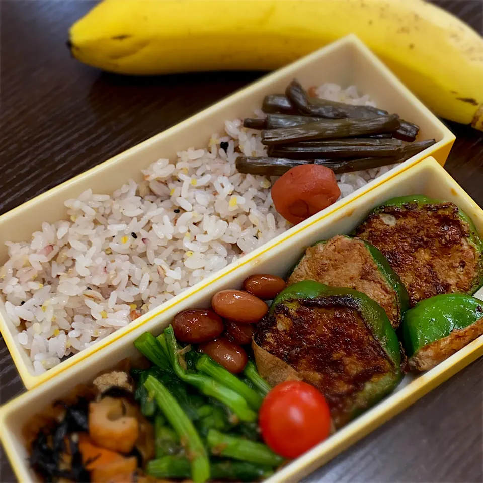 Snapdishの料理写真:お弁当|minaさん