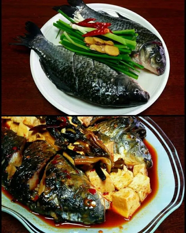 Snapdishの料理写真:豆腐葱烧鲫鱼 braised crusian carp|steven z.y.さん