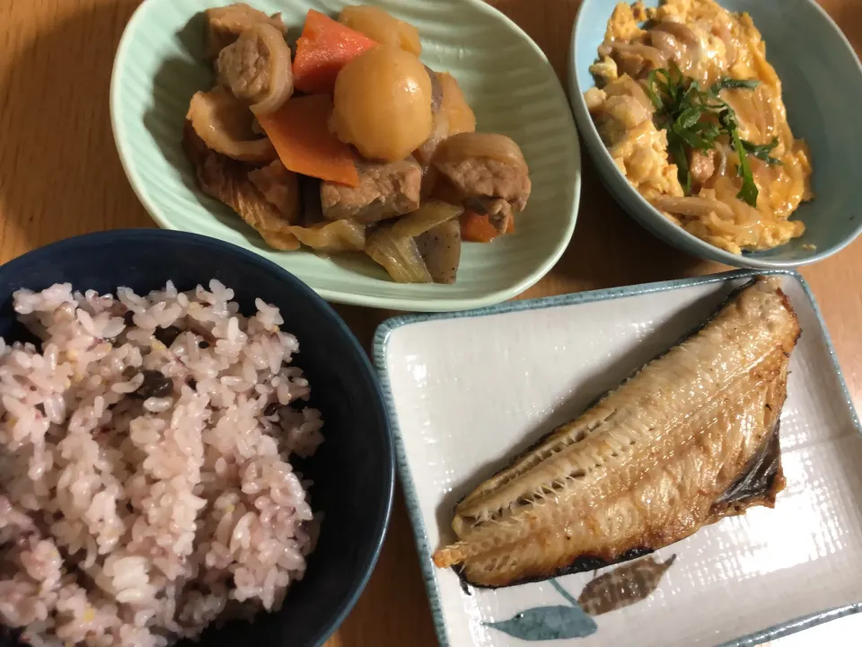 肉じゃが&ほっけ|ここなりさん