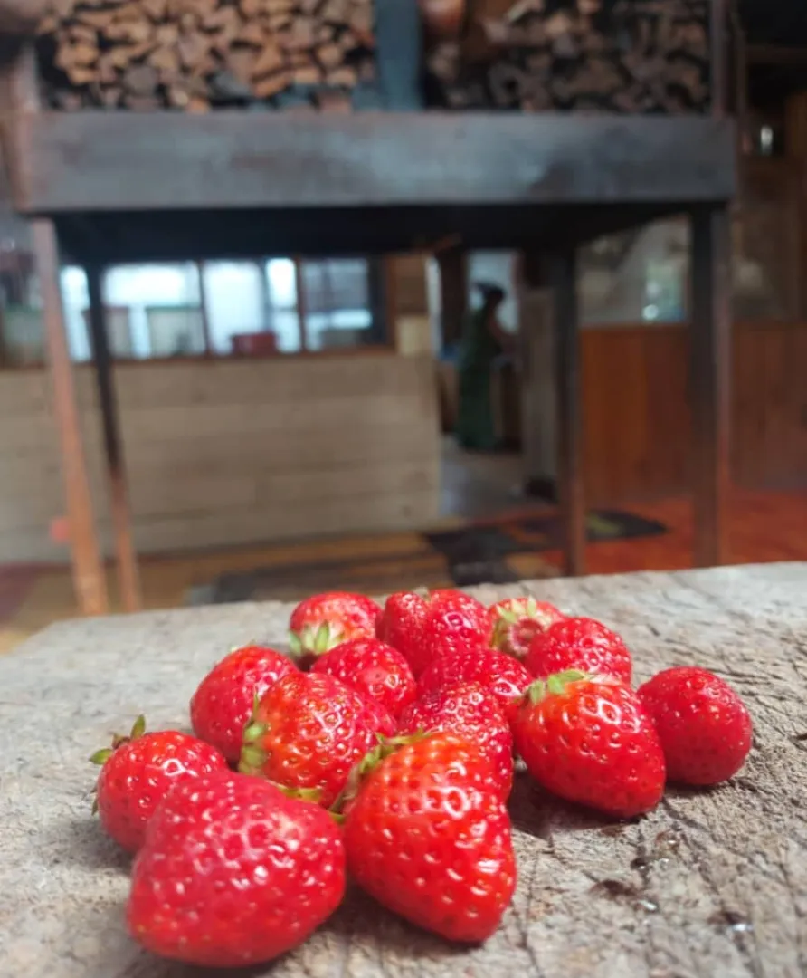 Fresh strawberries from the garden 🍓|ģřãçîöůşさん