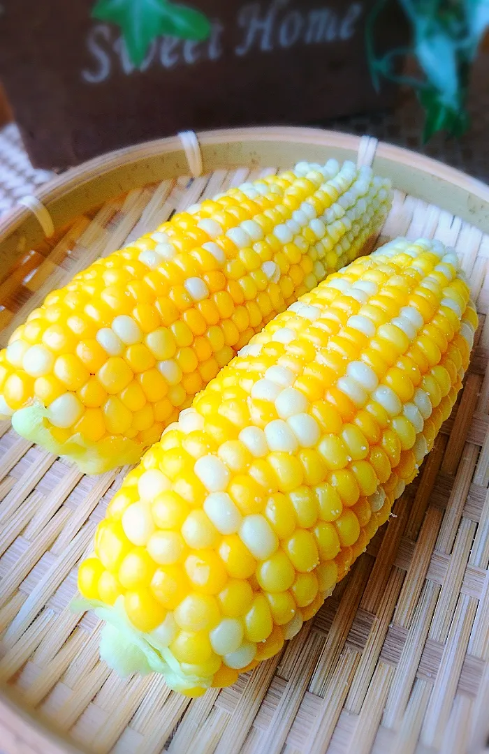 家庭菜園で採れたとうもろこし|ポコさん