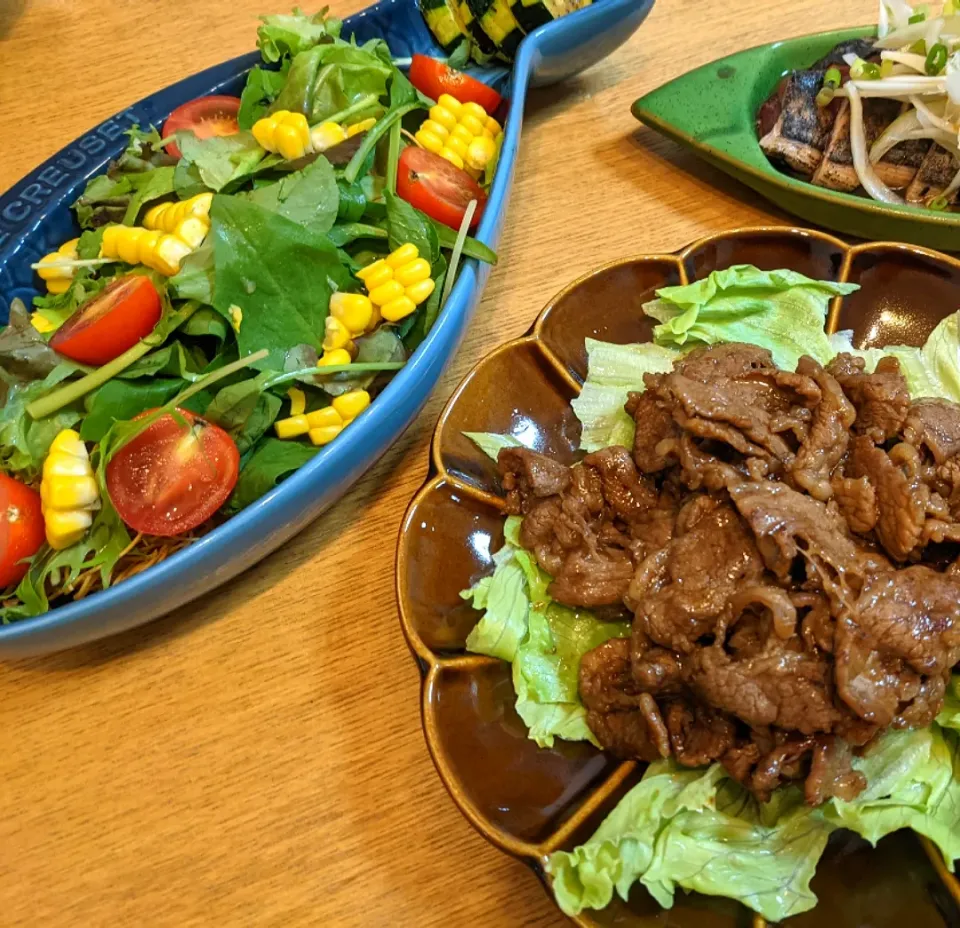 チャチャっと晩ごはん|しほさん