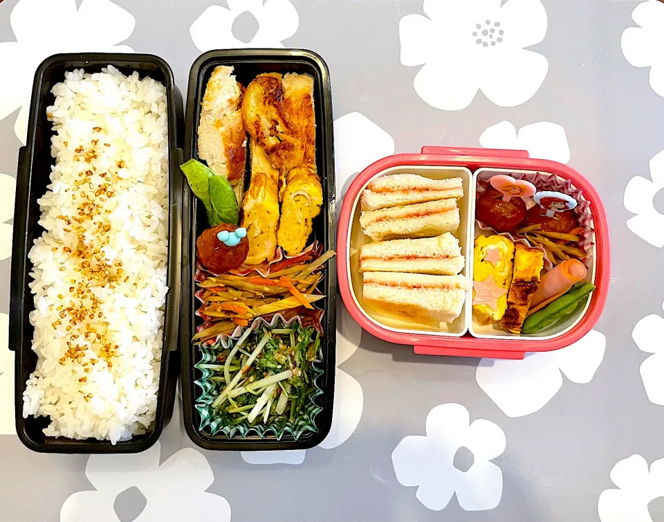 Snapdishの料理写真:年中さんとお父さんのお弁当🌸|みーぬさん