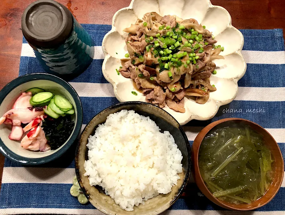 夜ご飯|nachiさん