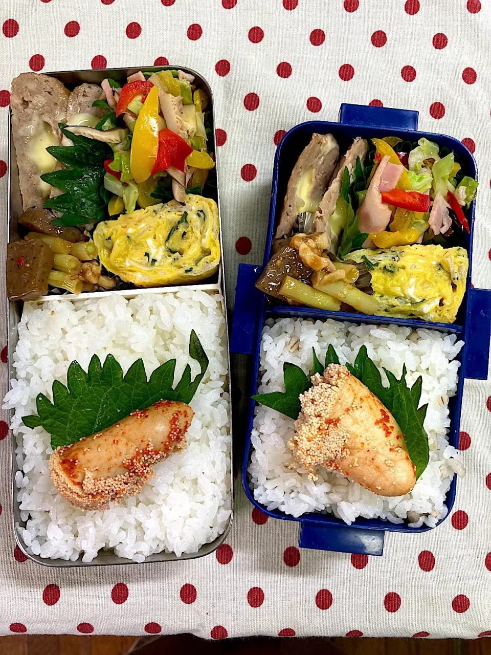 7月6日 野菜いっぱい弁当🍱|sakuramochiさん