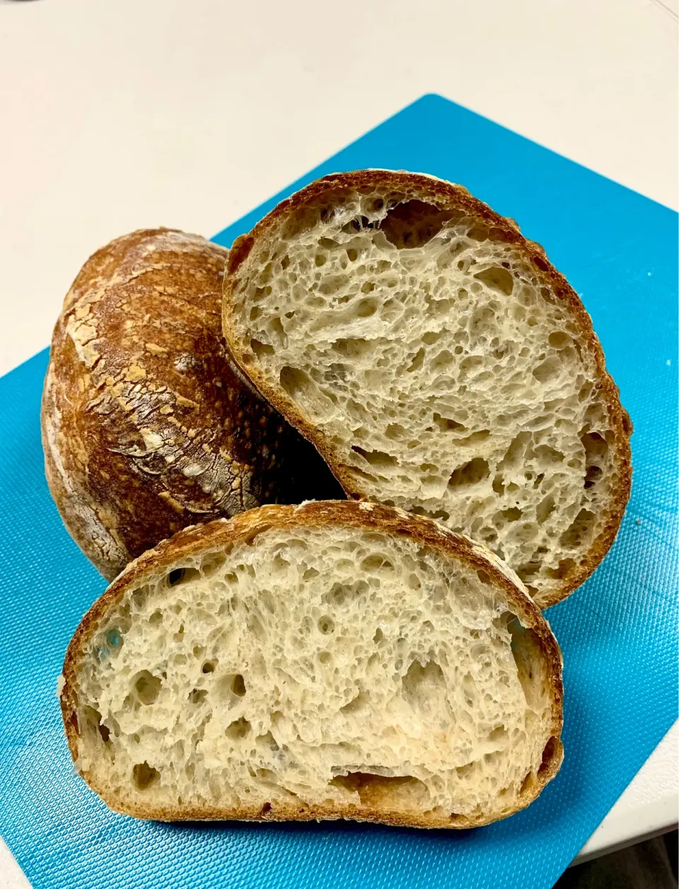 Crumb of the Sourdough Ciabatta|gonbenさん