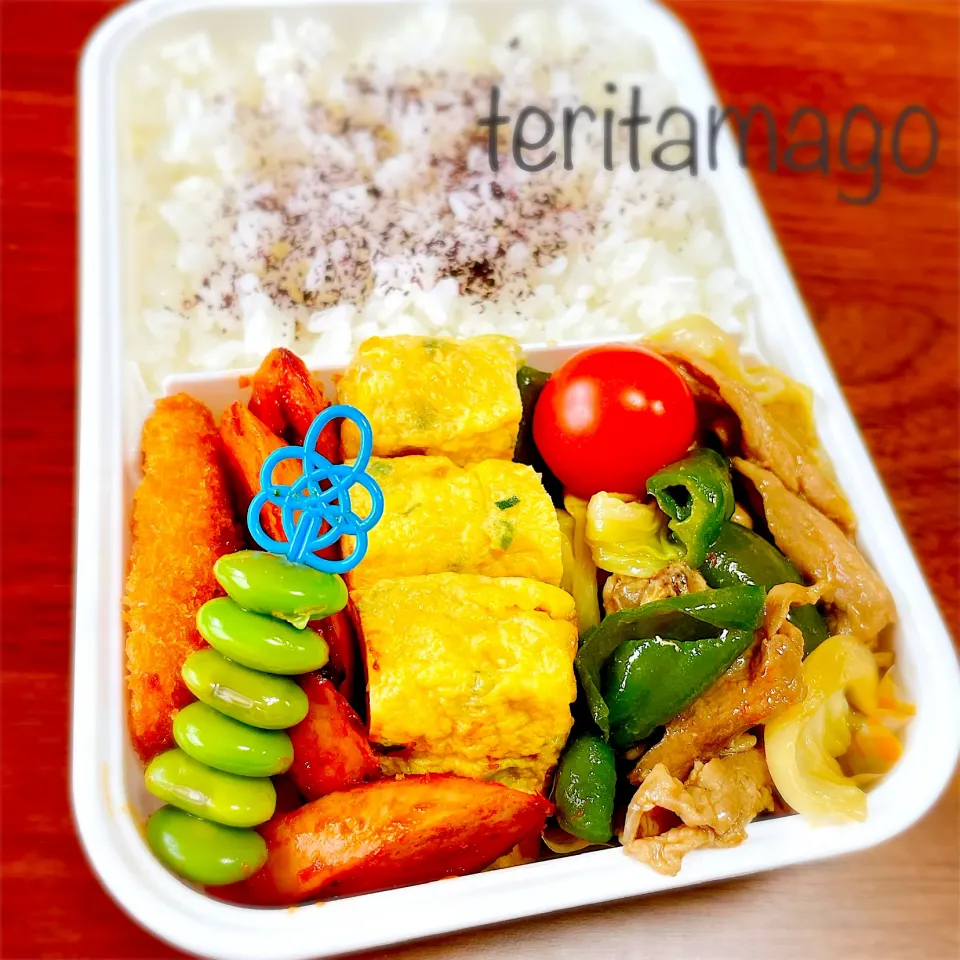 お弁当|teritamagoさん