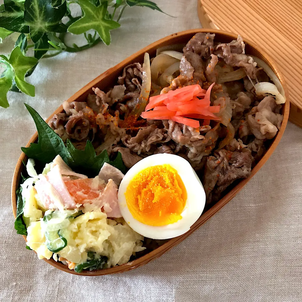 牛丼弁当|あここさん